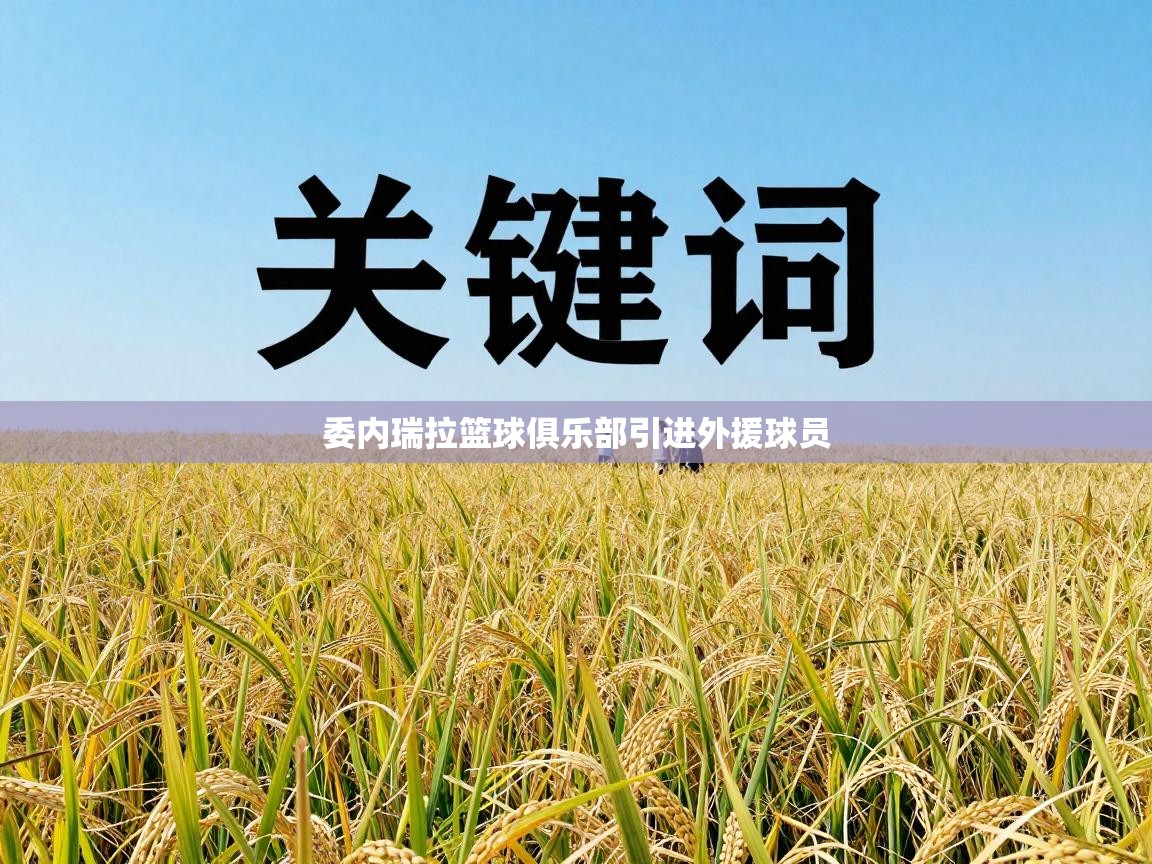 委内瑞拉篮球俱乐部引进外援球员  第2张