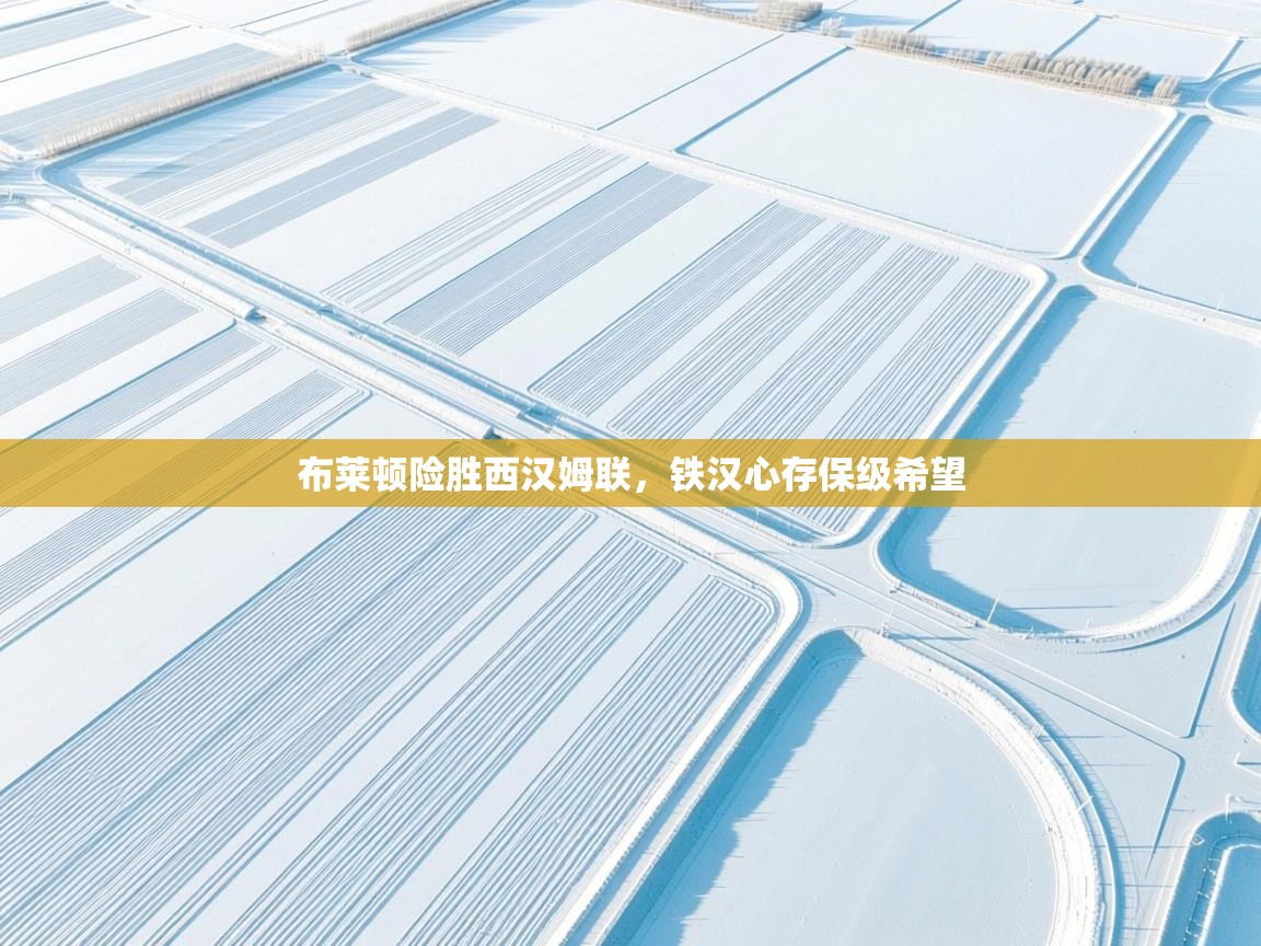 布莱顿险胜西汉姆联，铁汉心存保级希望  第1张