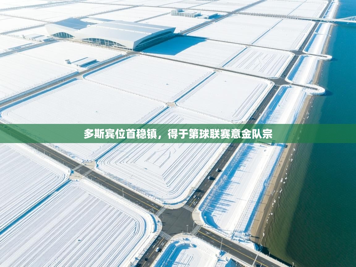 多斯宾位首稳镇，得于第球联赛意金队宗  第1张