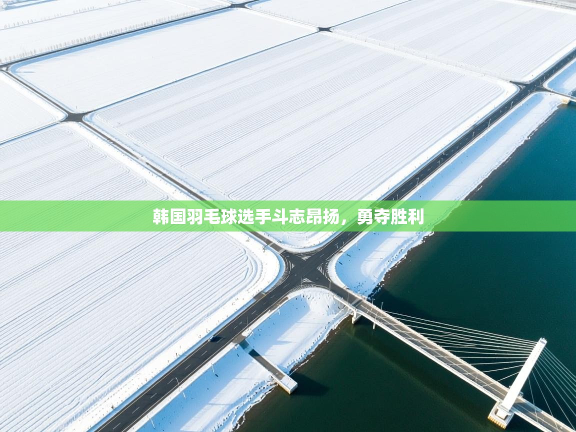 韩国羽毛球选手斗志昂扬,勇夺胜利 第1张