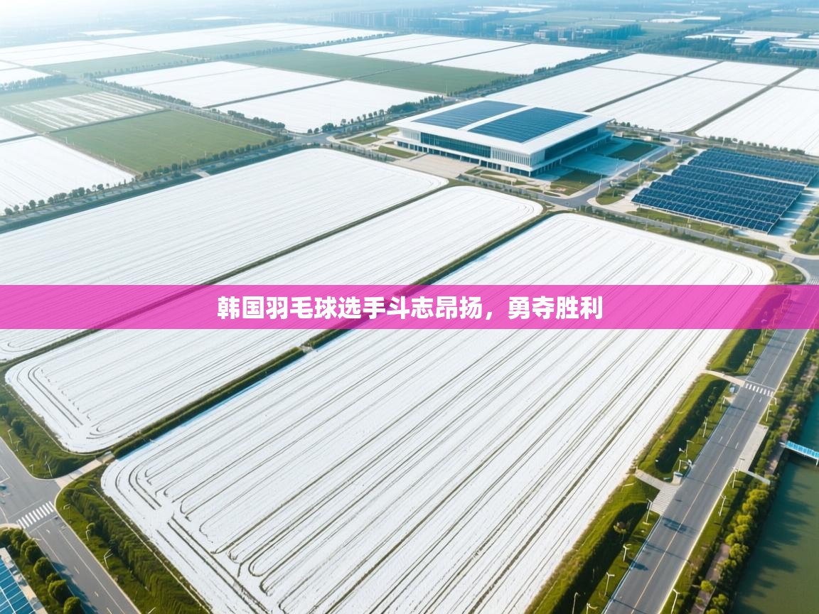 韩国羽毛球选手斗志昂扬,勇夺胜利 第2张