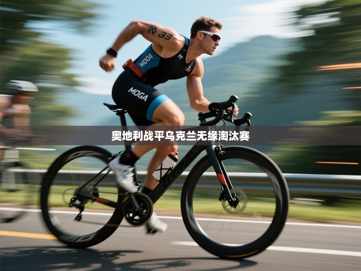 奥地利战平乌克兰无缘淘汰赛  第2张